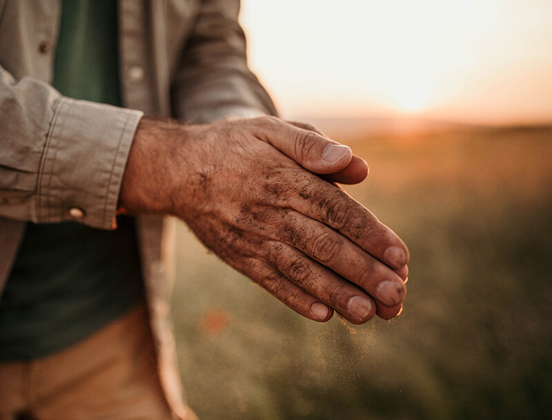 Working man's hands